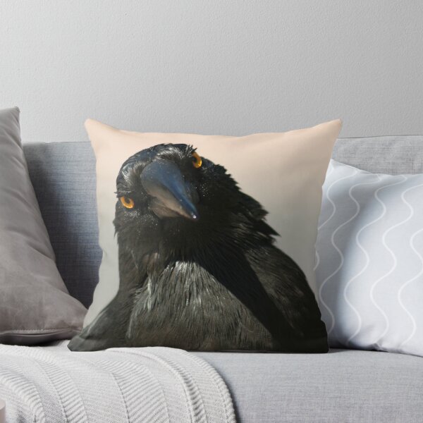 Item preview, Curious Currawong designed and sold by inthewild.