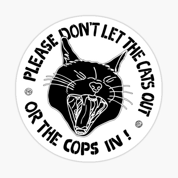 Punk Patches - Crust Punk Patches - Feminist Equality Anti-Racist Anarchy  Trans ACAB Dead Men Can't Catcall Women's Rights Activism Patches (7 -  Girls