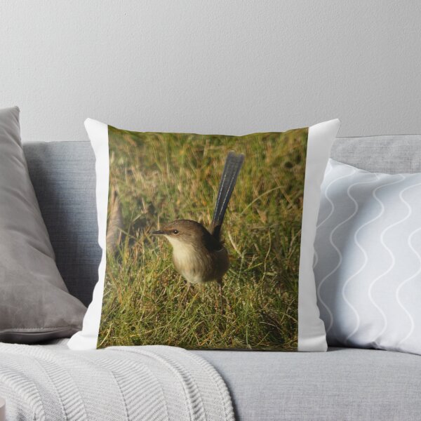 Item preview, Superb Fairy Wren (Young Male) designed and sold by inthewild.