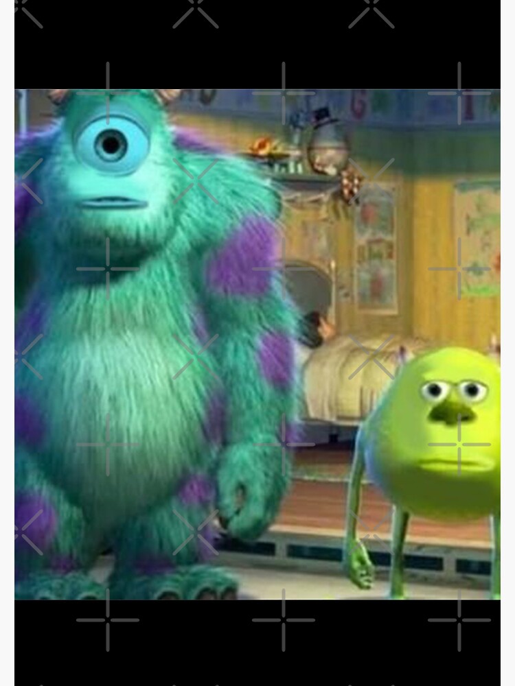 Sully Memes