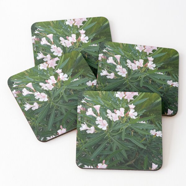 Aperçu de l'œuvre petites fleurs roses créée et vendue par Rhashid.