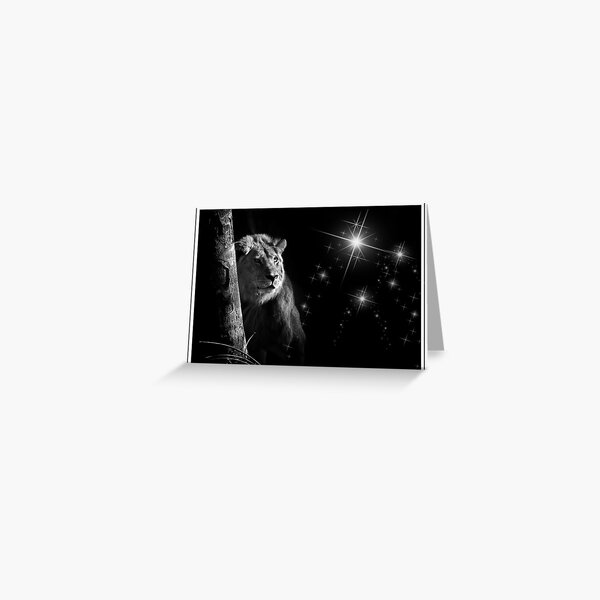 Christmas Greeting Card
