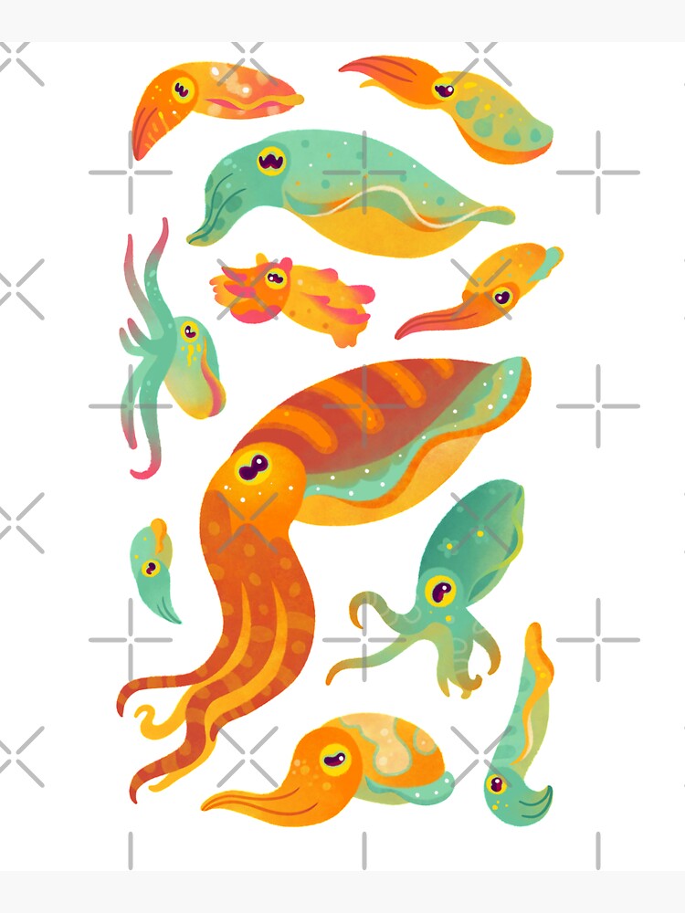 Cuttlefish by pikaole