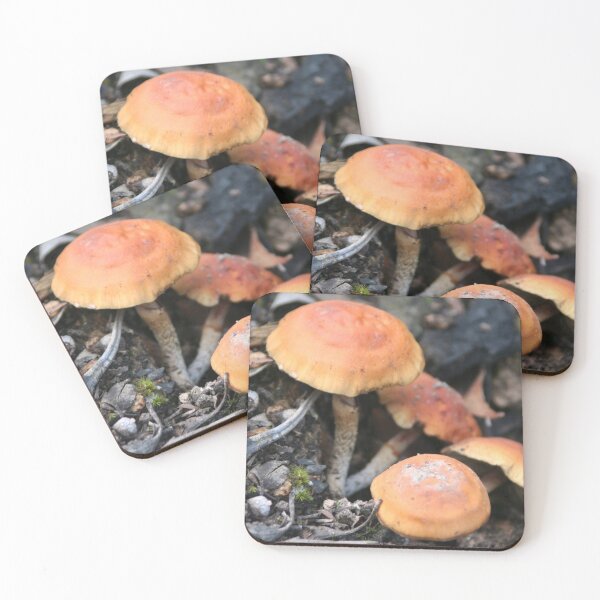 Item preview, Orange fungus designed and sold by Leanne Davis.