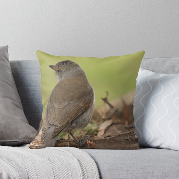 Item preview, Grey Shrike Thrush designed and sold by inthewild.