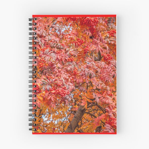 Item preview, American Mountain Ash in Autumn designed and sold by Sue Smith.