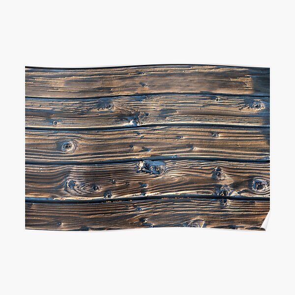 Yellowstone Lake Boardwalk Poster