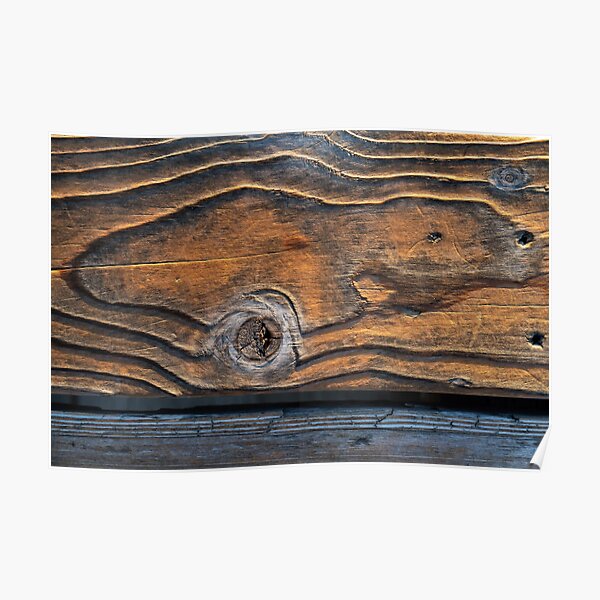 Yellowstone Lake Boardwalk Poster