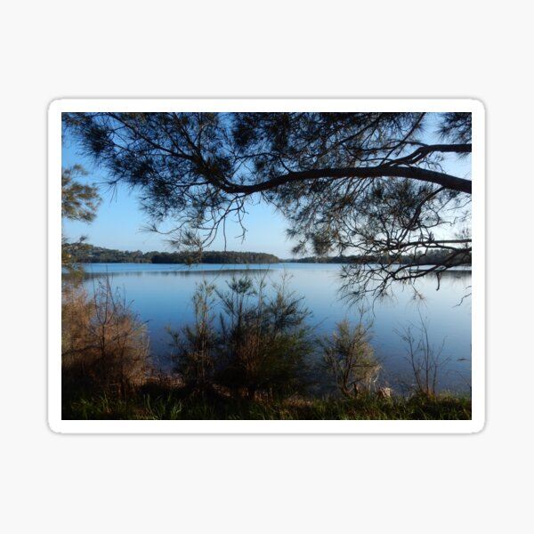Narrabeen Lake Sticker