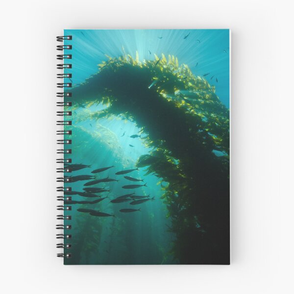 Item preview, Sunrays In a Kelp Forest designed and sold by Brent Barnes.