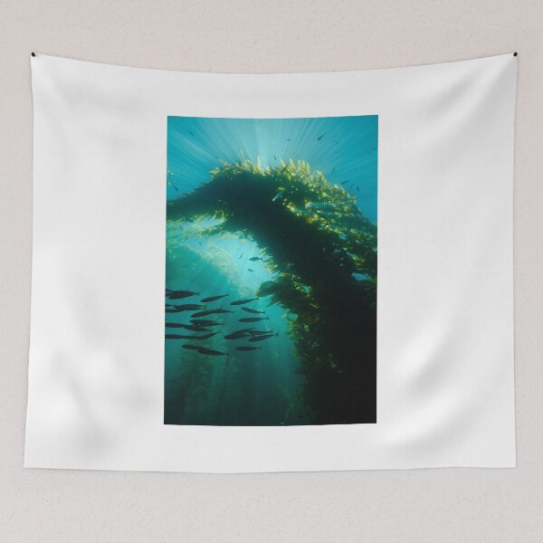 Item preview, Sunrays In a Kelp Forest designed and sold by Brent Barnes.