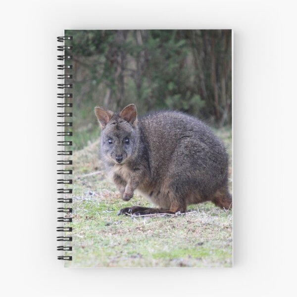 Item preview, Tasmanian Pademelon designed and sold by inthewild.