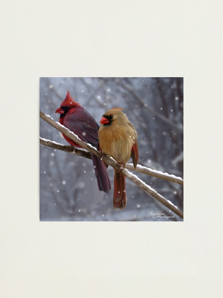 Alternate view of Morning Song Photographic Print