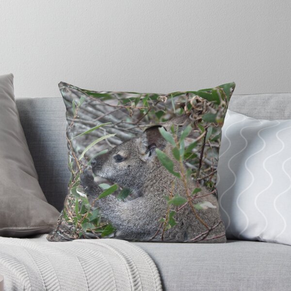Item preview, Bennetts Wallaby Female designed and sold by inthewild.