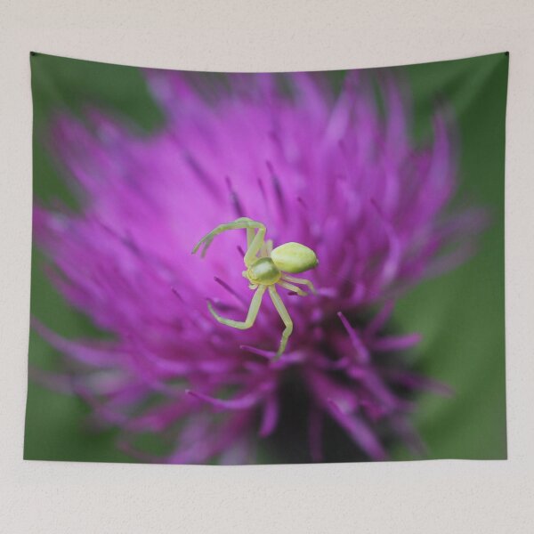 Item preview, Incy wincy spider designed and sold by cuprum.