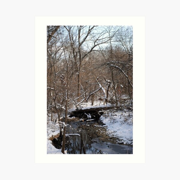 The Unofficial Bridge Art Print