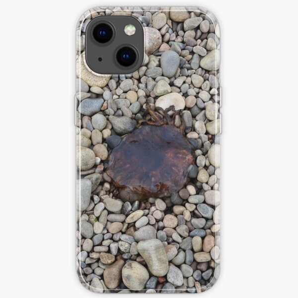 Jellyfish on a bed of pebbles iPhone Soft Case