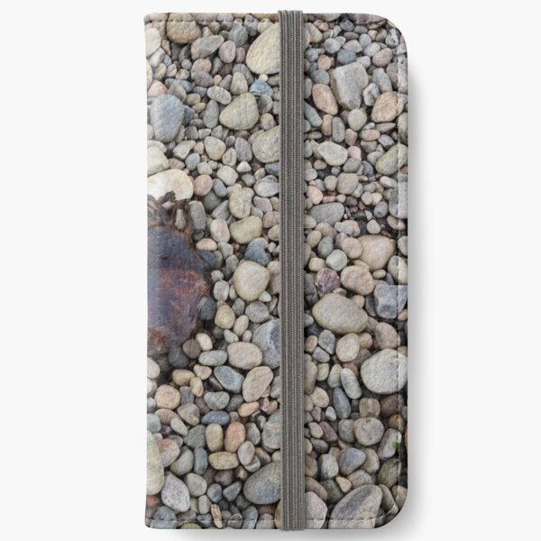 Jellyfish on a bed of pebbles iPhone Wallet