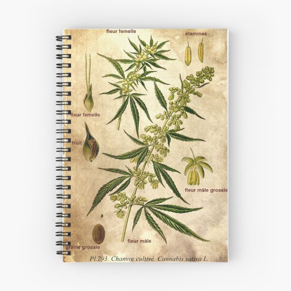 Item preview, Marihuana plant designed and sold by manomade.
