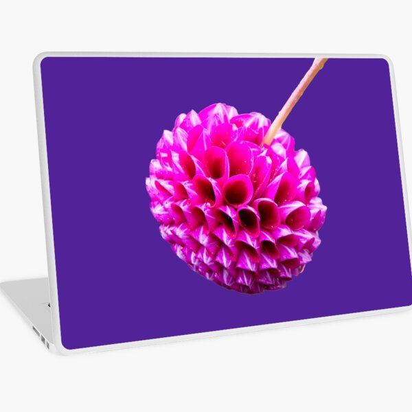 Pink Striped Dahlia Laptop Skin