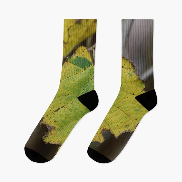 Item preview, Hoja de avellana designed and sold by cuprum.