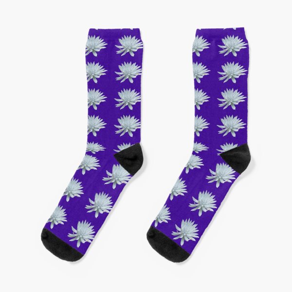 White Succulent Socks
