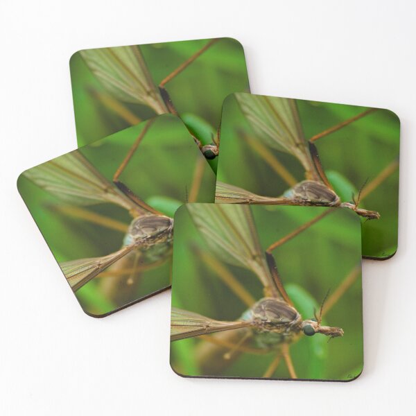 Item preview, Macro Insect designed and sold by Kafue.