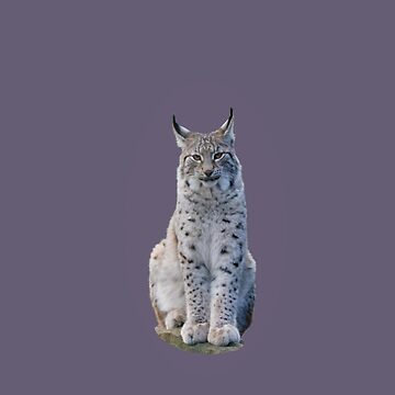 Artwork thumbnail, Look - the Lynx is watching you by Alternative Perspectives