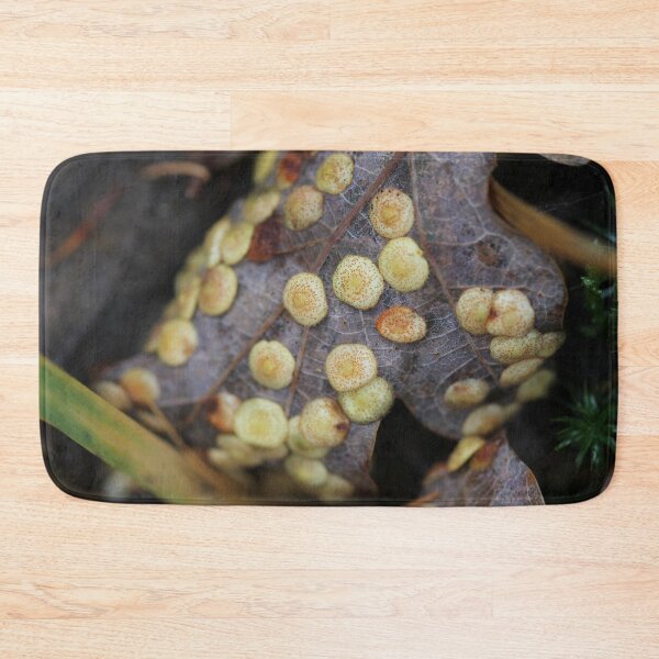 Item preview, Common spangle gall on oak leaf designed and sold by cuprum.