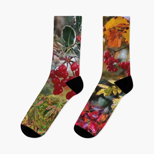 Item preview, Autumn colours designed and sold by cuprum.