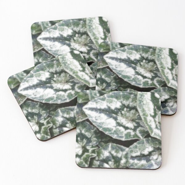 Item preview, Cyclamen designed and sold by cuprum.