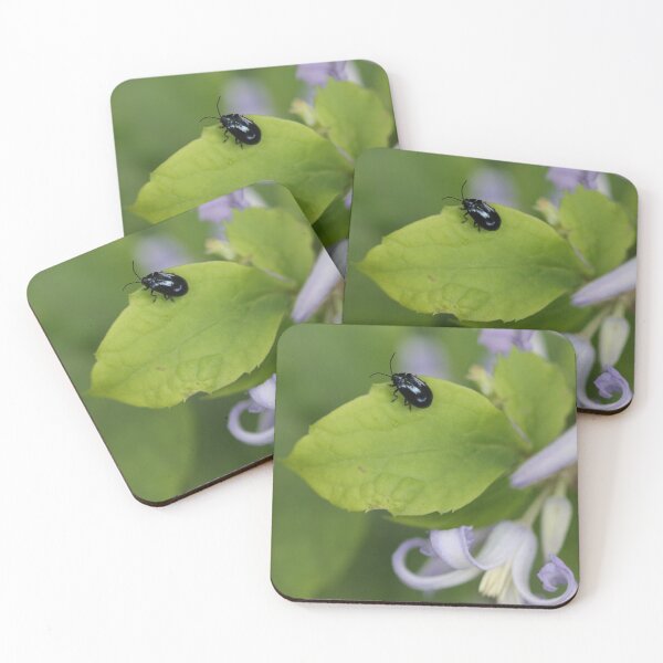 Item preview, On top of it designed and sold by cuprum.