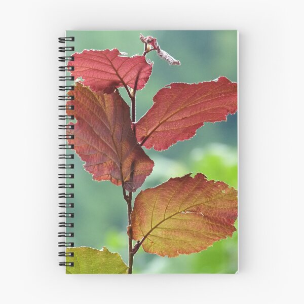 Item preview, Red leaves designed and sold by Narelle Richardson.
