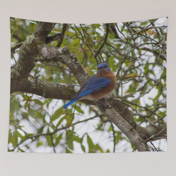 Item preview, Bluebird Eastern designed and sold by KensLensDesigns.
