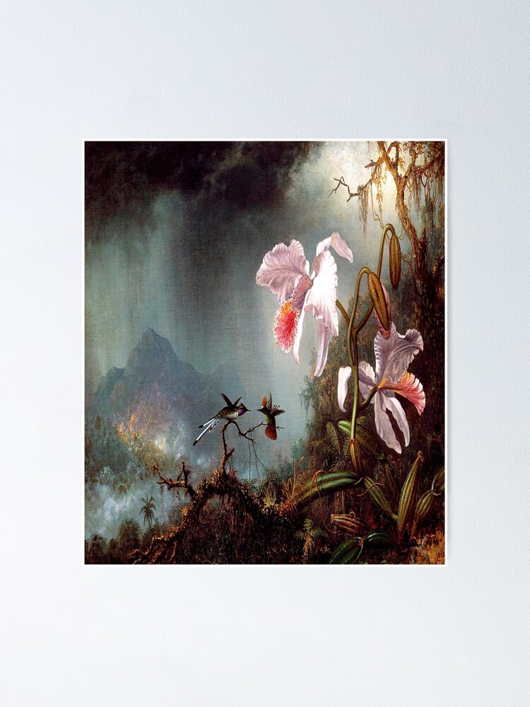 Two Fighting Hummingbirds With Two Orchids Martin Johnson Heade