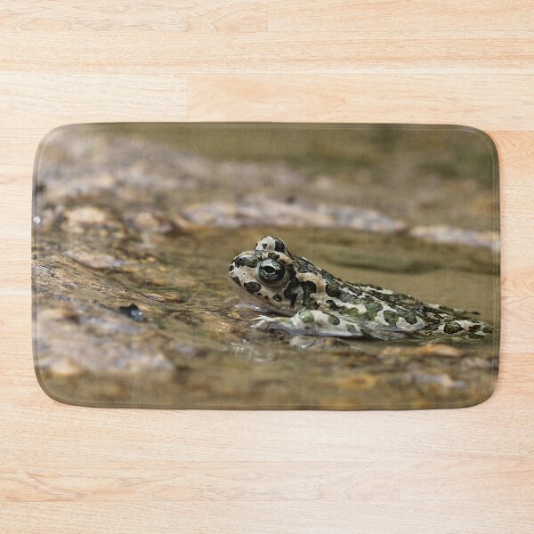 Item preview, Mrs. Frog designed and sold by cuprum.