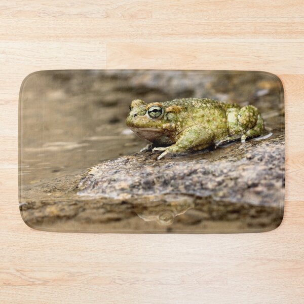Item preview, Mr. Frog designed and sold by cuprum.