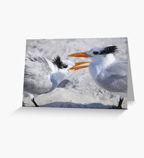 " Hey ! Mom Said it Was MY Tern " Greeting Card