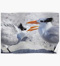 " Hey ! Mom Said it Was MY Tern " Poster