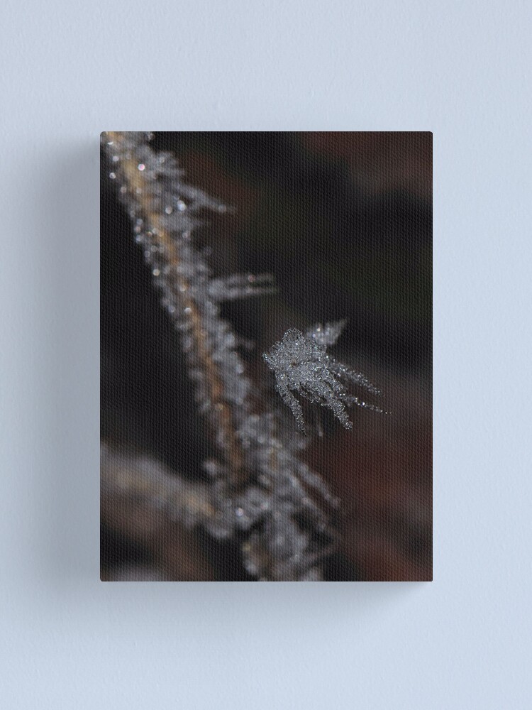 Alternate view of Frost #1 Canvas Print
