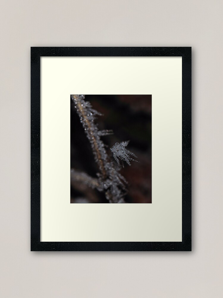 Alternate view of Frost #1 Framed Art Print