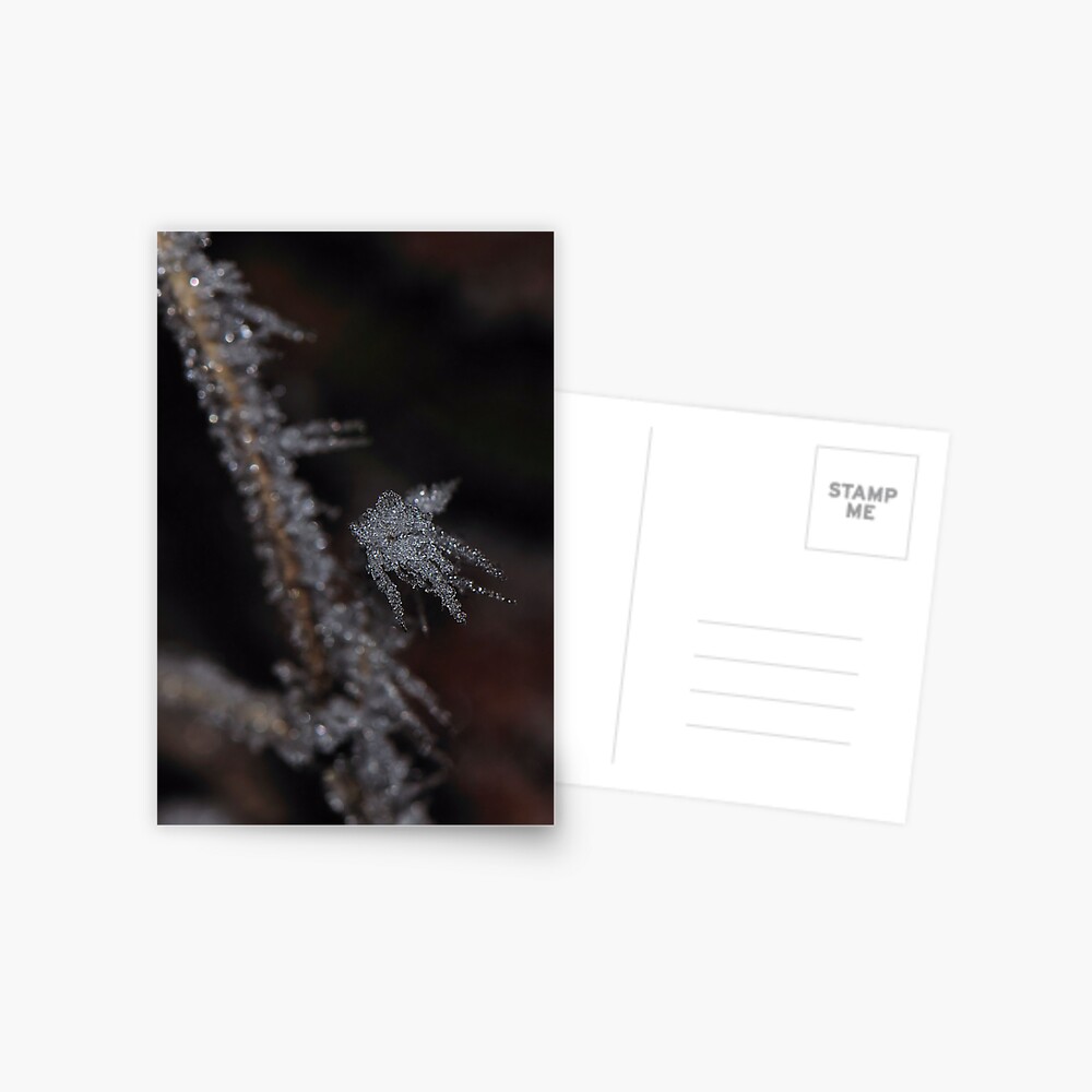 Item preview, Postcard designed and sold by pauleden.
