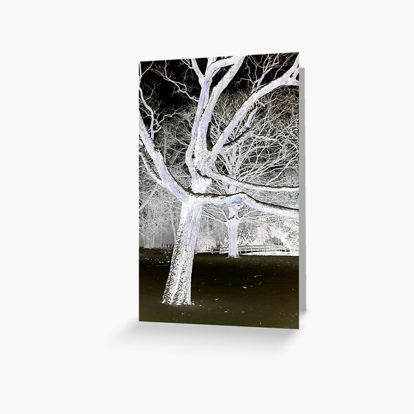 Inverted snow covered tree Greeting Card