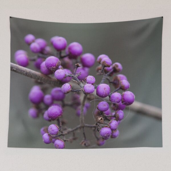 Item preview, Callicarpa designed and sold by cuprum.