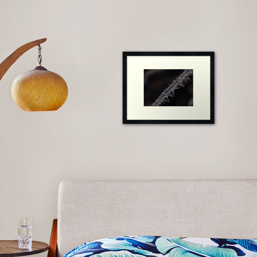 Item preview, Framed Art Print designed and sold by pauleden.