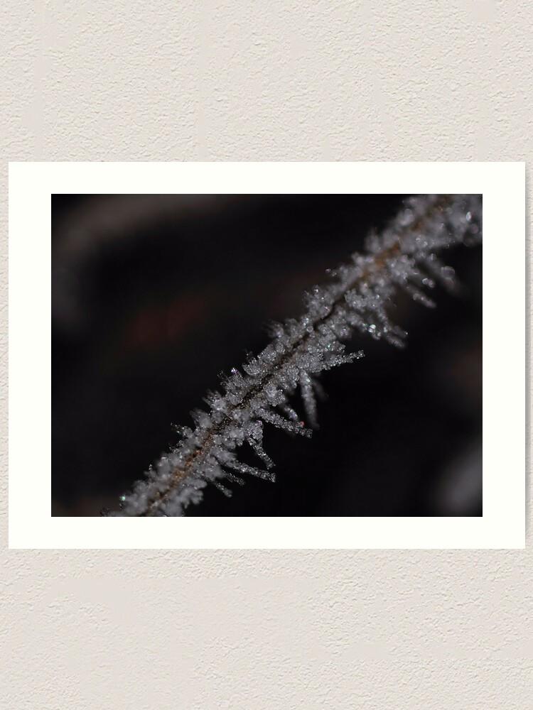 Alternate view of Frost #2 Art Print