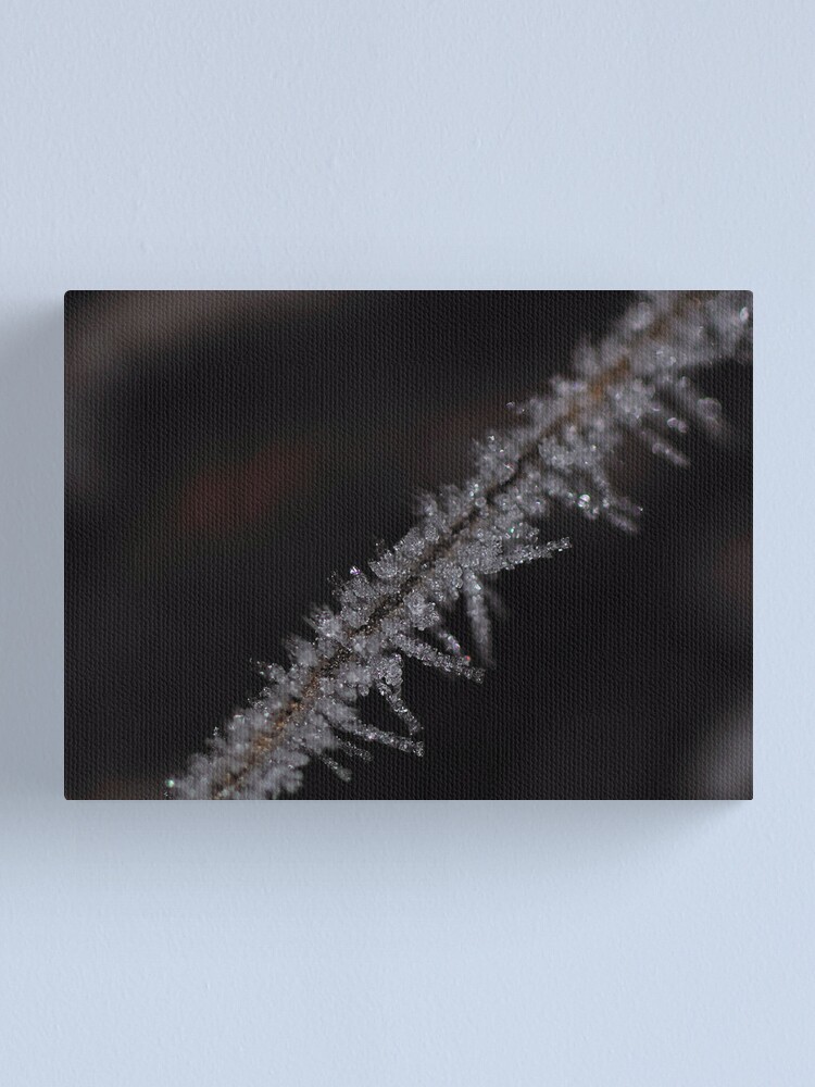 Alternate view of Frost #2 Canvas Print
