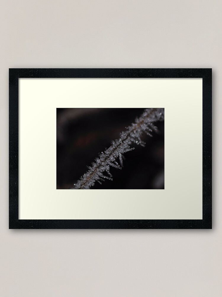 Alternate view of Frost #2 Framed Art Print