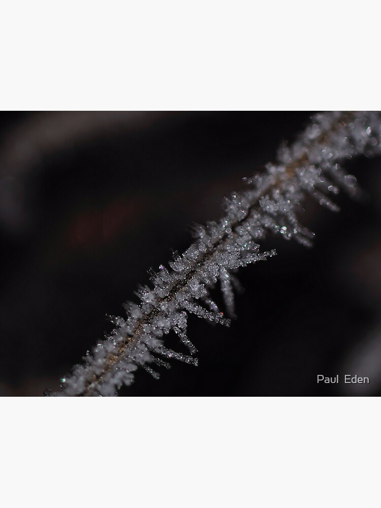 Frost #2 by pauleden