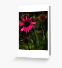 Echinacea Pink Greeting Card